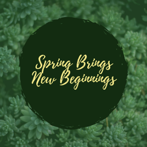 Spring brings new beginnings
